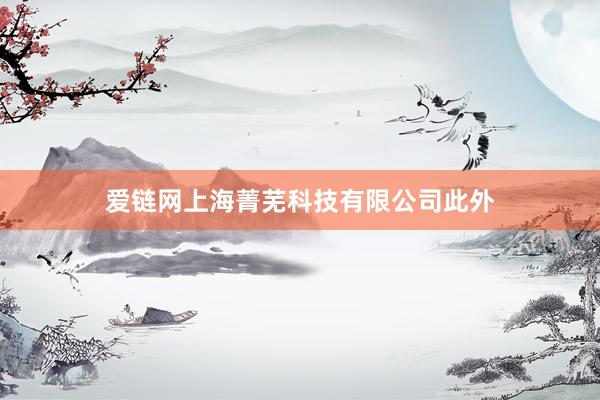 爱链网上海菁芜科技有限公司此外