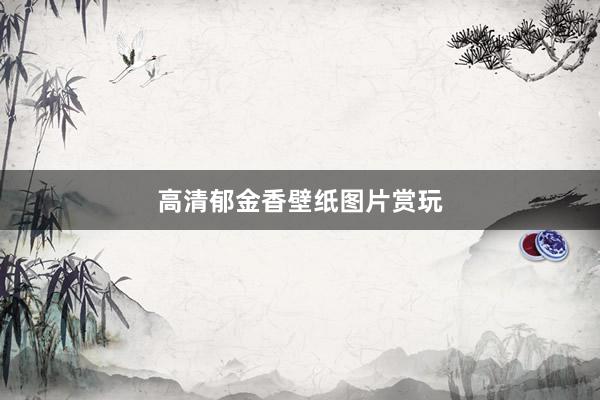 高清郁金香壁纸图片赏玩