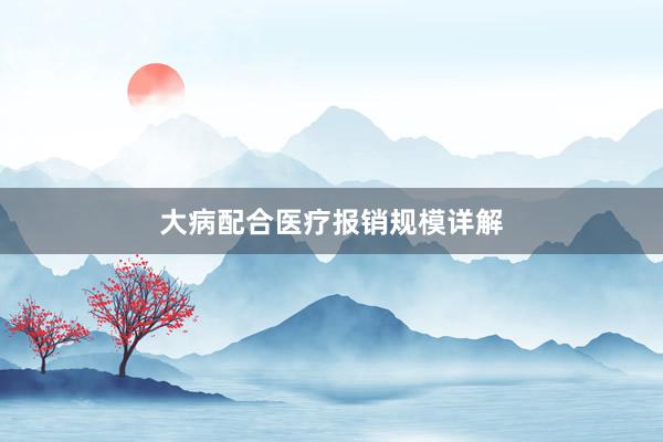 大病配合医疗报销规模详解