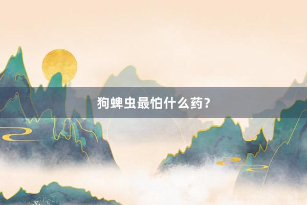 狗蜱虫最怕什么药？